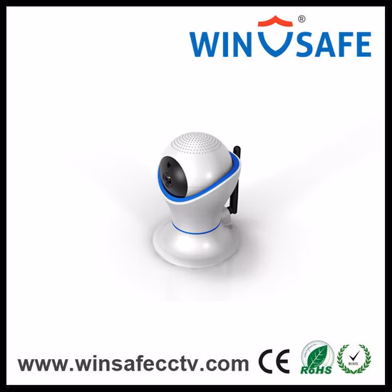 Megapixel Wireless IP Camera (WS